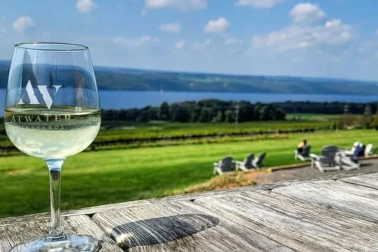 Badacsony Wine Region – Scenic Wine Tours by Lake Balaton (Western Hungary) 2