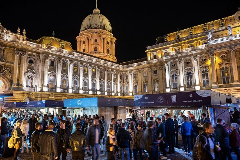 Budapest Wine Festival 1