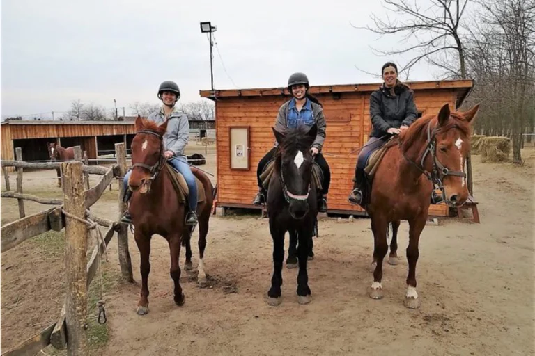 Bük & Sárvár Horseback Riding – Luxury Spa & Equestrian Getaway (Western Hungary) (1)