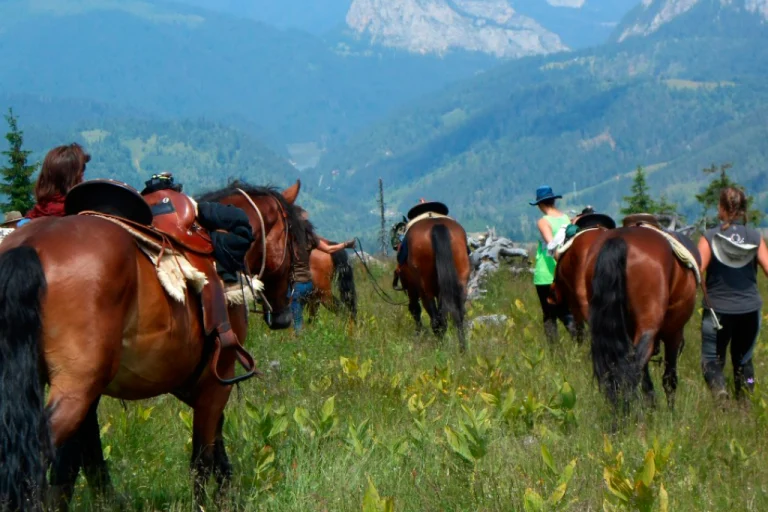 Bük & Sárvár Horseback Riding – Luxury Spa & Equestrian Getaway (Western Hungary) (2)