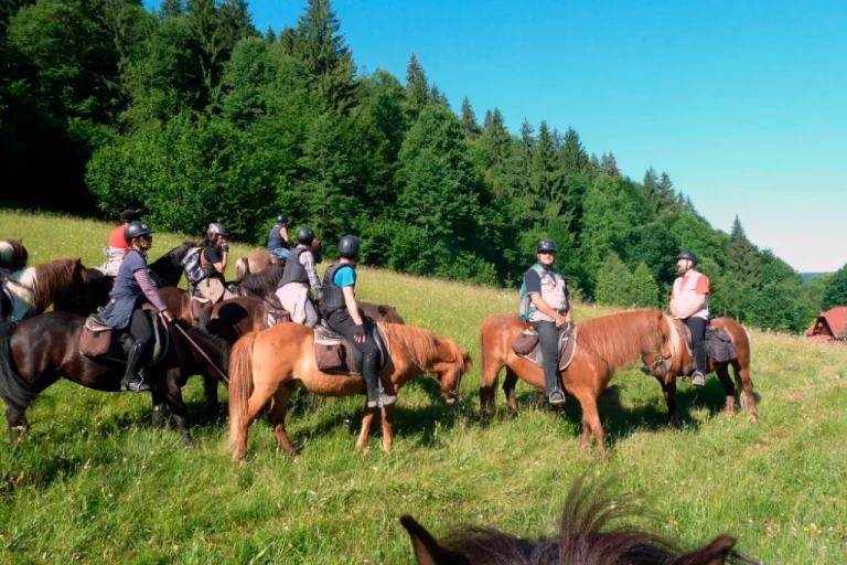 Bük & Sárvár Horseback Riding – Luxury Spa & Equestrian Getaway (Western Hungary)2