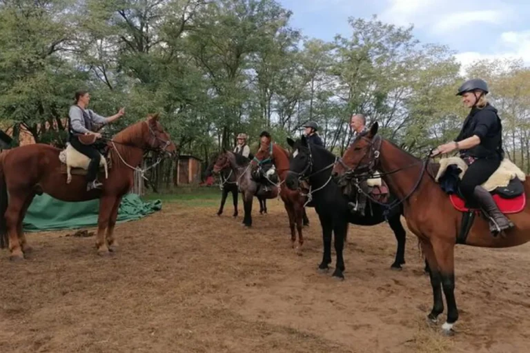 Bük & Sárvár Horseback Riding – Luxury Spa & Equestrian Getaway (Western Hungary)5