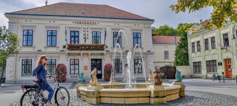 Bük & Sárvárcover