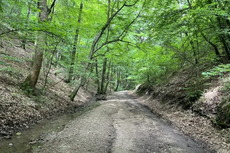 Bükk National Park Mountain Biking – Adventure in Hungary’s Wilderness 4