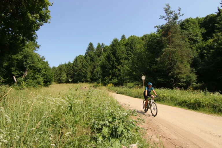 Bükk National Park Mountain Biking – Adventure in Hungary’s Wilderness (Northern Hungary)