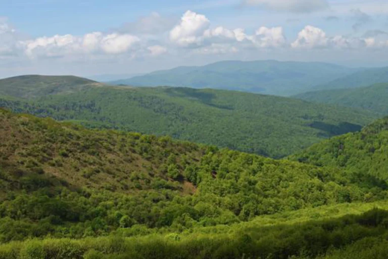 Bükk National Park – Hungary’s Largest Forest Reserve (Northern Hungary)2 (1)