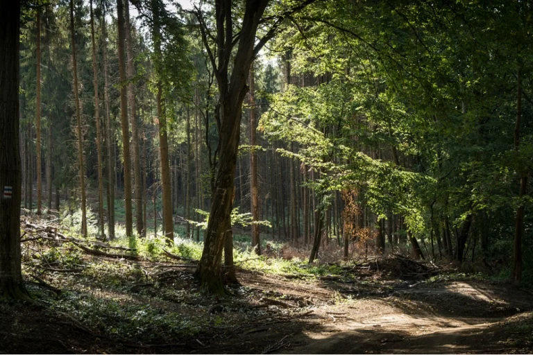 Bükk National Park – Hungary’s Largest Forest Reserve (Northern Hungary)3