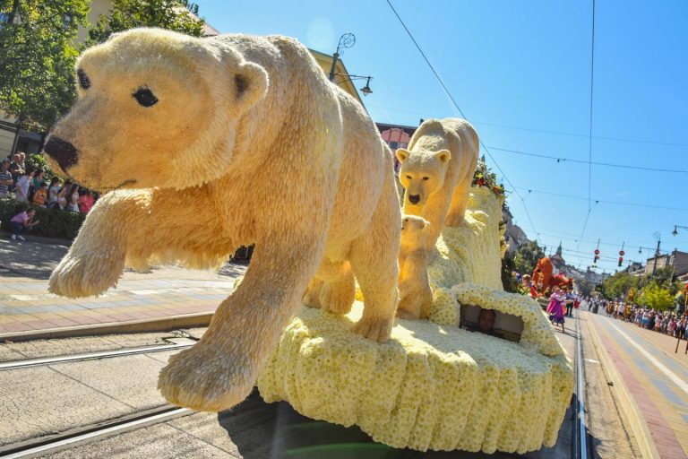Debrecen Flower Carnival 4