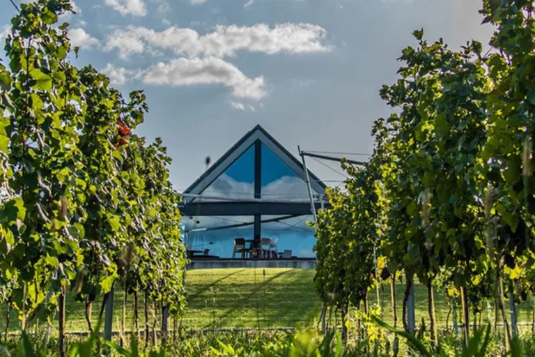 Etyek Wine Region – The Champagne Valley of Hungary (Near Budapest) 1