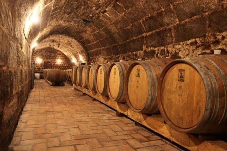 Etyek Wine Region – The Champagne Valley of Hungary (Near Budapest)