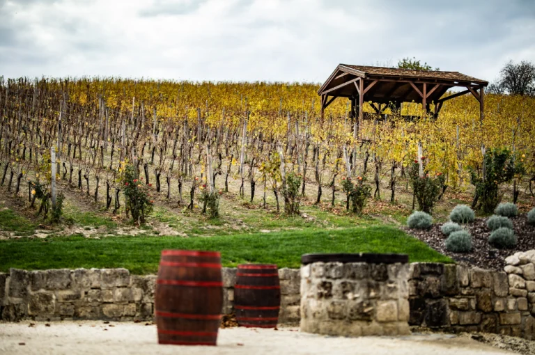 Etyek Wine Region – The Champagne Valley of Hungary (Near Budapest) 4