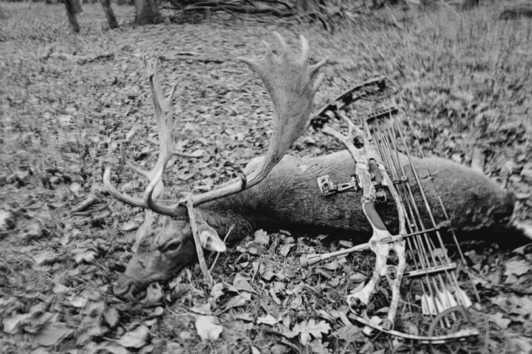 Gemenc Hunting Reserve – Elite Red Deer & Wild Boar Hunts (Southern Hungary, DanubeRegion) 4