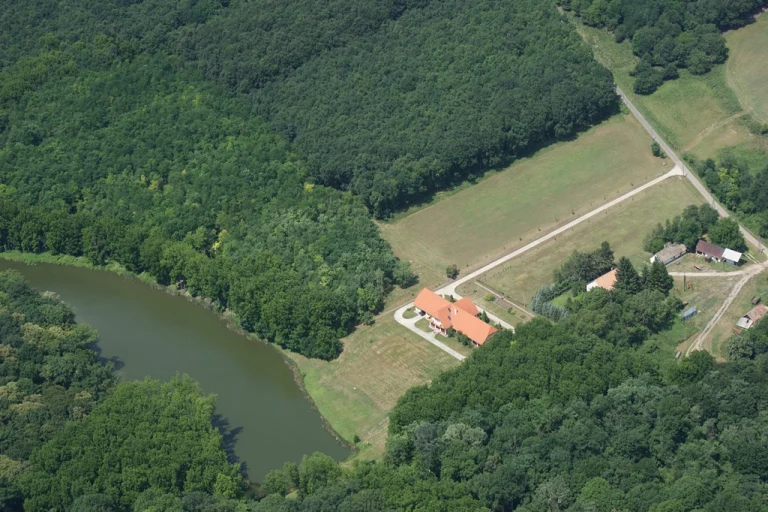 Gyulaj Hunting Reserve – Famous for World-Class Fallow Deer (Western Hungary) 1