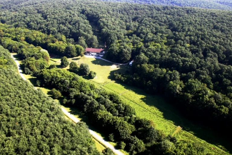 Gyulaj Hunting Reserve – Famous for World-Class Fallow Deer (Western Hungary)