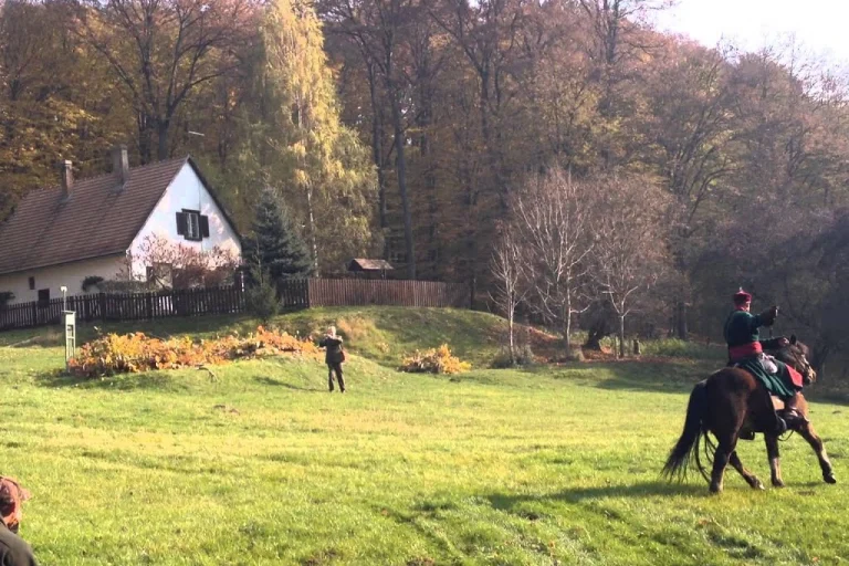 Gyulaj Hunting Reserve – Famous for World-Class Fallow Deer (Western Hungary) 2