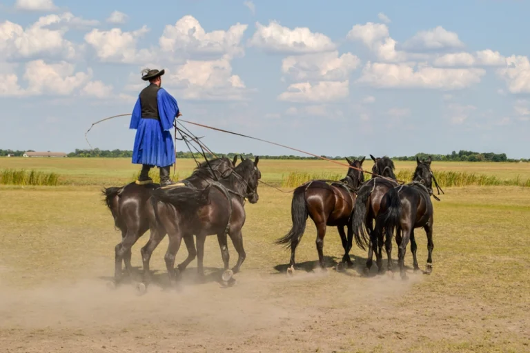 Hortobágy National Park – Traditional Horse Culture (Eastern Hungary)