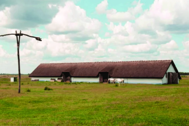 Hortobágy National Park – Traditional Horse Culture (Eastern Hungary) 3 (1)