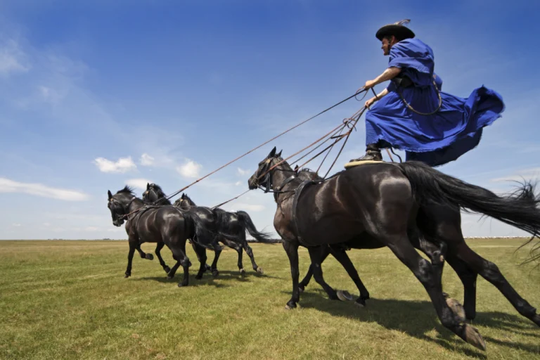 Hortobágy National Park – Traditional Horse Culture (Eastern Hungary) 4