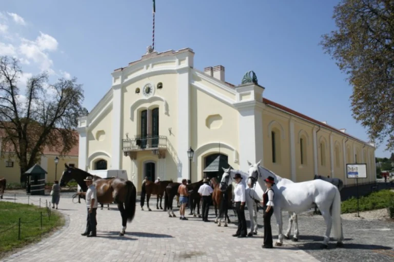 Kisbér Royal Stud – The Historic Home of Hungary’s Thoroughbreds (Western Hungary)