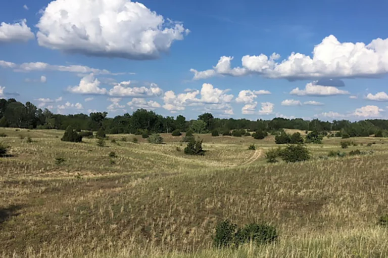Kiskunság National Park – Hungary’s Desert-Like Landscape (Southern Hungary) 1