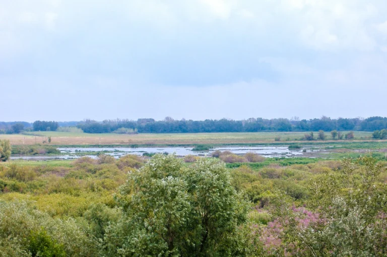 Kiskunság National Park – Hungary’s Desert-Like Landscape (Southern Hungary) 4