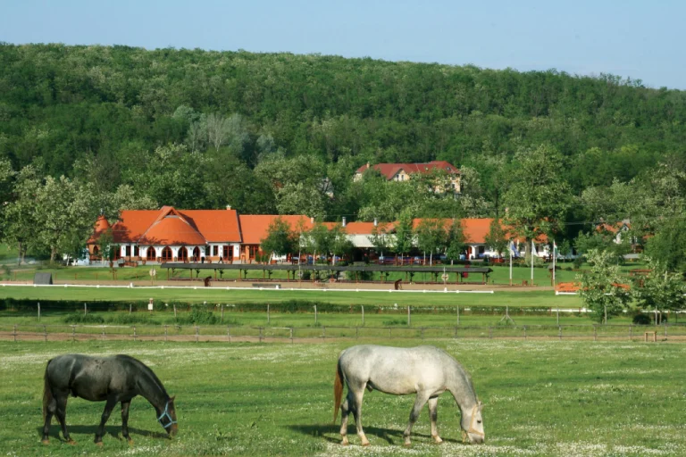 Lázár Equestrian Park – The Royal Equestrian Experience (Domonyvölgy, near Budapest) (1)