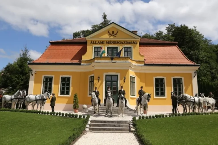 Lázár Equestrian Park – The Royal Equestrian Experience (Domonyvölgy, near Budapest) (2)
