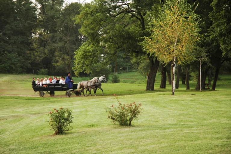 Lázár Equestrian Park – The Royal Equestrian Experience budapest 2