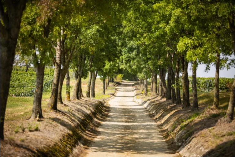 PécsRegion3