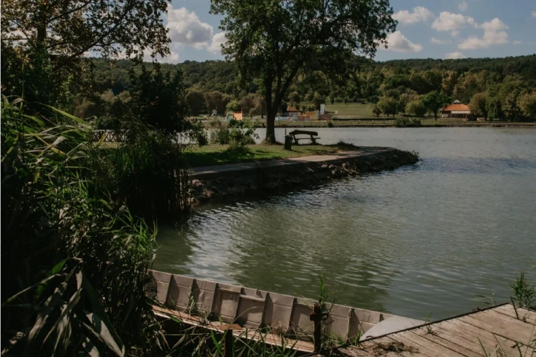 PécsRegion5