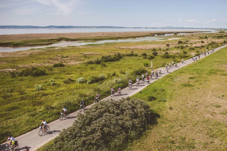 Sopron & Fertő Lake Cycling – UNESCO World Heritage Routes (Western Hungary)