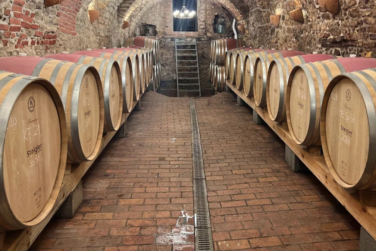 Sopron Wine Region – The Hungarian Burgundy (Western Hungary, Near Austria)