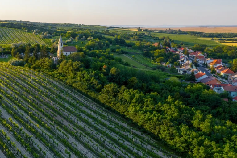 Sopron Wine Region – The Hungarian Burgundy (Western Hungary, Near Austria) 2