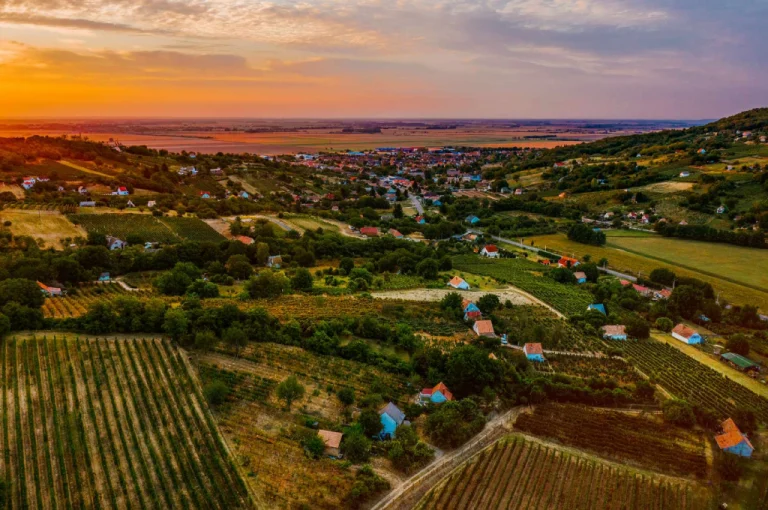 Szekszárd Wine Region – Hungary’s Boutique Red Wine Destination (Southern Hungary) 1