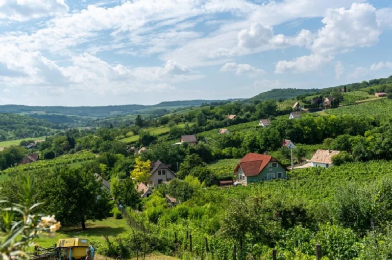 Szekszárd Wine Region – Hungary’s Boutique Red Wine Destination (Southern Hungary)