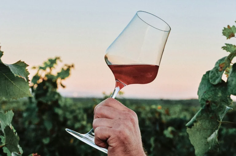 Szekszárd Wine Region – Hungary’s Boutique Red Wine Destination (Southern Hungary) 3