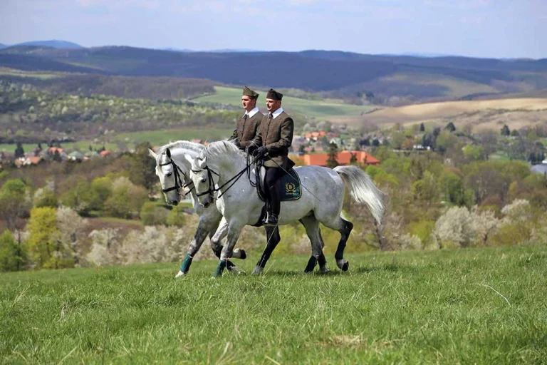 Szilvásvárad Lipizzaner Stud Farm (1)