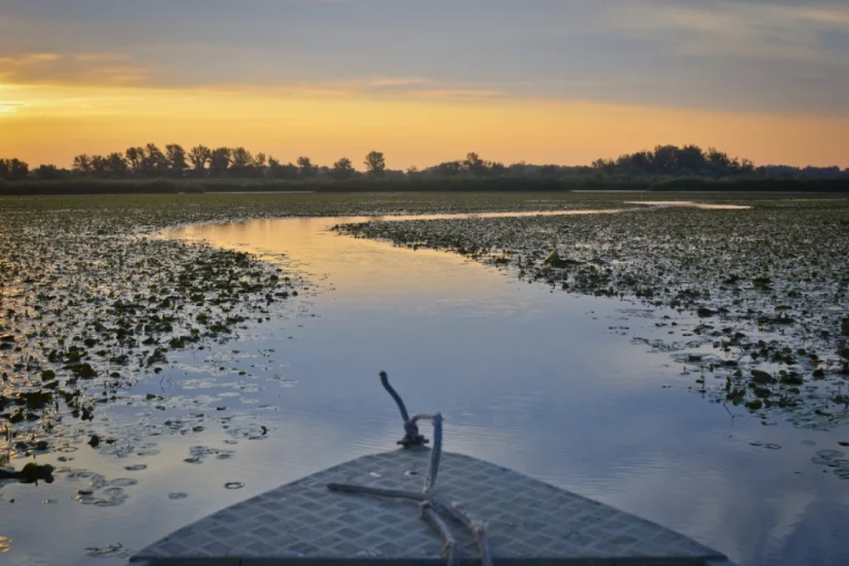 Tisza Lake – Hungary’s Hidden Water Adventure Paradise (Eastern Hungary)