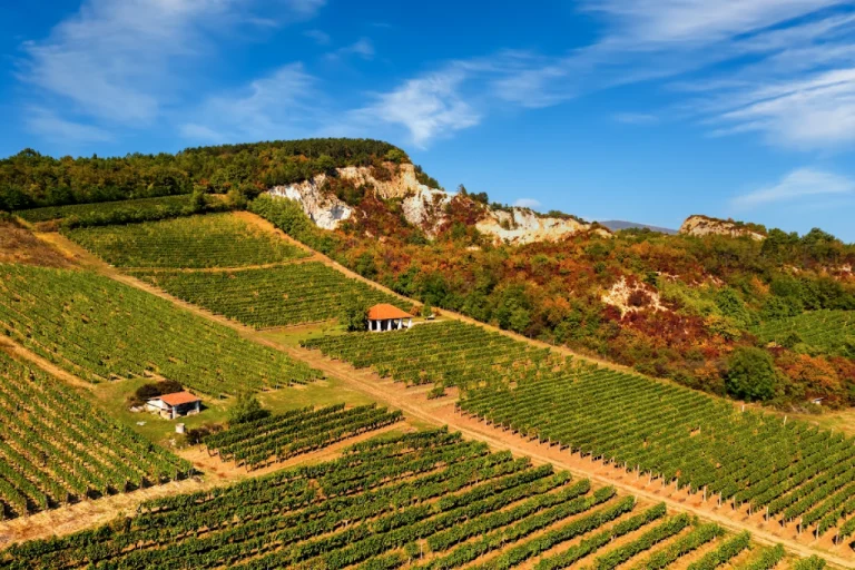 Tokaj Wine Region – The Land of Royal Wines (Northeastern Hungary, UNESCO WorldHeritage Site)2