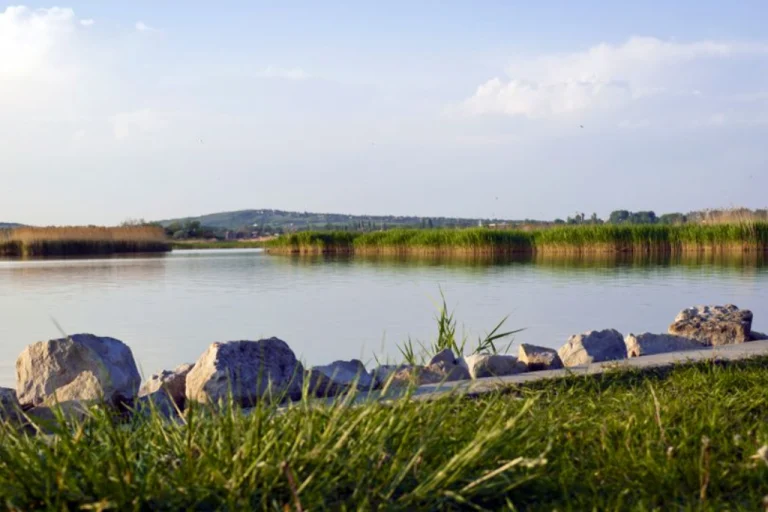 Velence Lake – Family-Friendly Water Activities (Central Hungary) 2