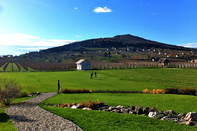 Villány Wine Region – Hungary’s Red Wine Capital (Southern Hungary)