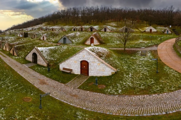Villány Wine Region – Hungary’s Red Wine Capital (Southern Hungary) 3