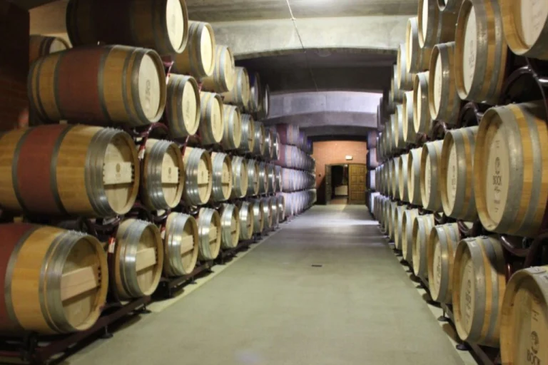 Villány Wine Region – Hungary’s Red Wine Capital (Southern Hungary) 4