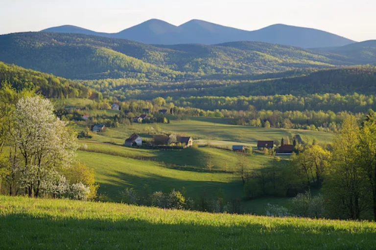 Zemplén Mountains – Luxury Hiking in Hungary’s Wine Country (Northeastern Hungary) 4