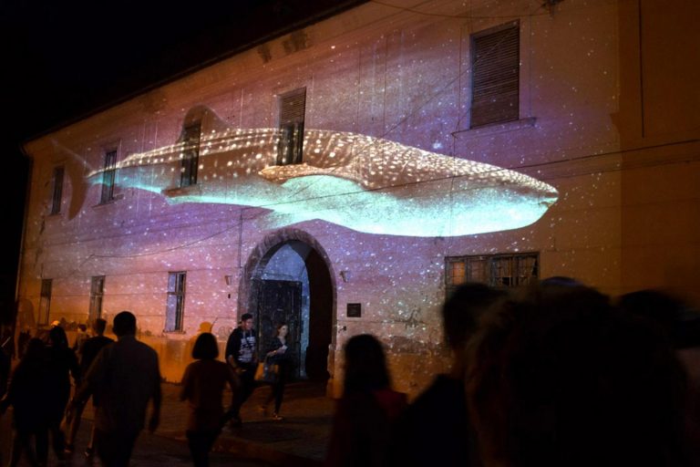 Zsolnay Light Festival 2
