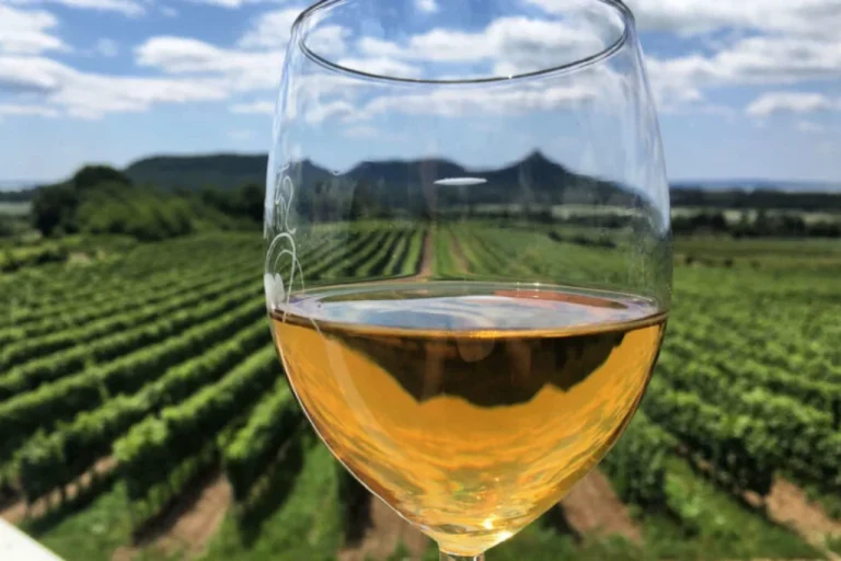 adacsony Wine Region – Scenic Wine Tours by Lake Balaton (Western Hungary)